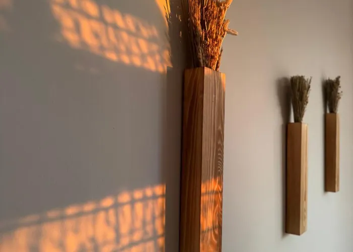 Daire Morelka Władysławowo